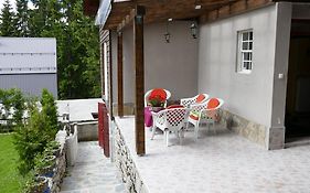 Vlasic House